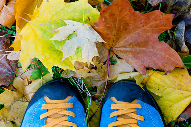 istock Fall Forest walk Theme Blue Shoes on Leaves 615721400