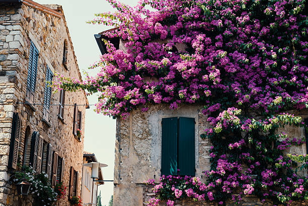Beautiful window decorated with flowers in italy