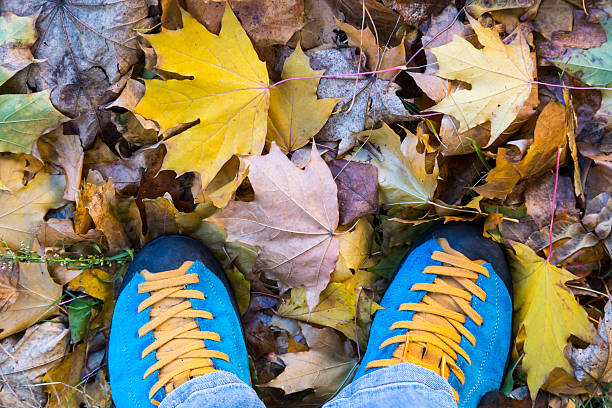 istock Fall Forest walk Theme Blue Shoes on Leaves 615721548