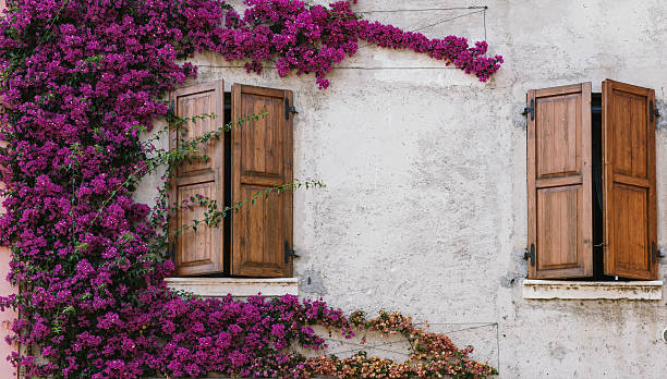 istock Beautiful window decorated with flowers in italy 615721768