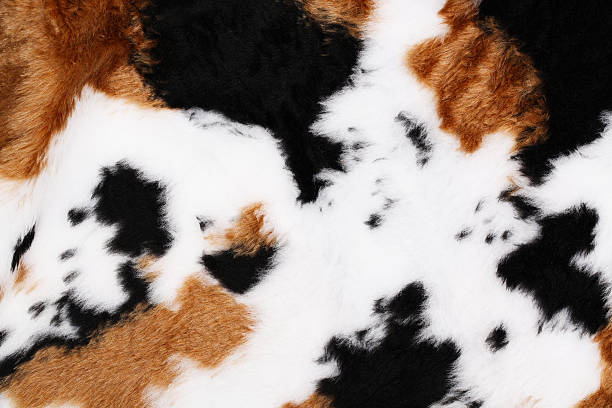 istock Colorful artificial faux fabric. Closeup 615722006