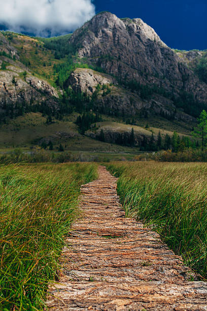 istock Wooden path through the peat bog. 615723388