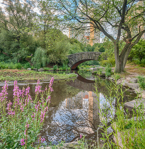 istock Gapstow bridge Central Park, New York City 615724820