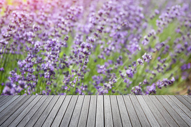 Empty top of old wooden table and lavender flowers