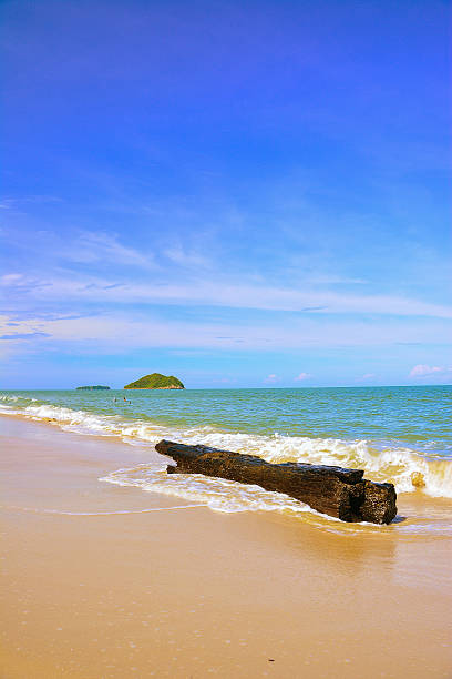 istock Tree Timber on the beach with blue sky and island. 615727590