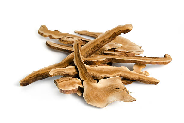 istock Lingzhi mushroom, Chinese traditional medicine, Ganoderma Lucidu 615727860
