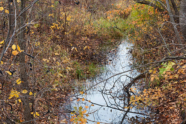istock Small Stream Surrounded with Autumn Foliage 615727914