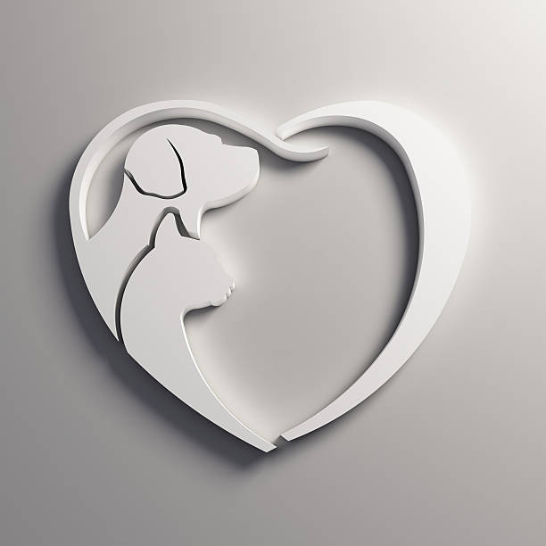 istock 3D White Cat Dog Love Heart. Rendering Illustration 615728122