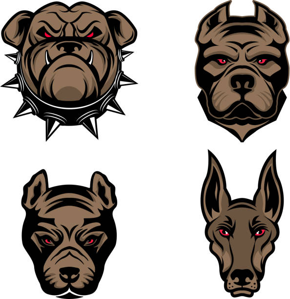 Set of the dogs heads isolated on white background. Set of the dogs heads isolated on white background. Pitbull, doberman, bulldog. Design element for label, emblem, sign, brand mark. Vector illustration. pitbull graphic stock illustrations