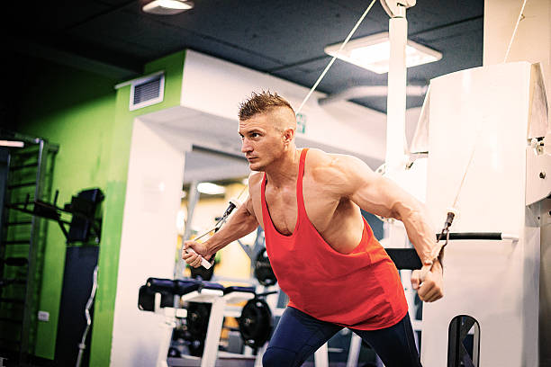 istock Workout in gym, exercising pectoral muscles 615729346