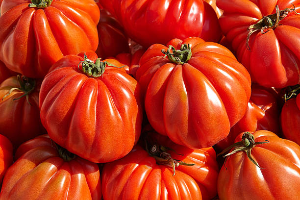 Bunch of red tomato RAF Bunch of red tomato RAF with green leaves raf stock pictures, royalty-free photos & images