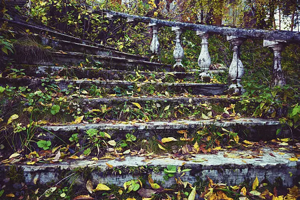 vintage old staircase strewn with fallen leaves