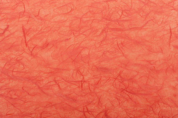 istock Japanese washi paper 615736580