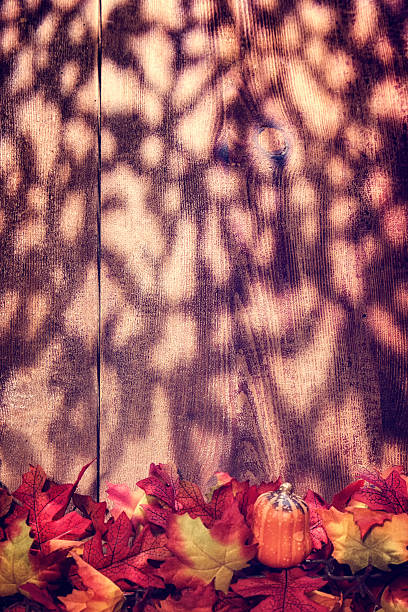 istock Autumn Decoration Background with Leafs 615736960