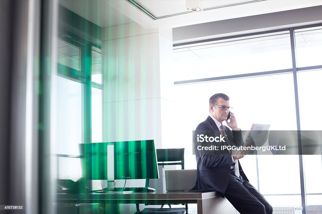 Corporate Business Mature businessman holding document while talking on mobile phone in office Adult Stock Photo