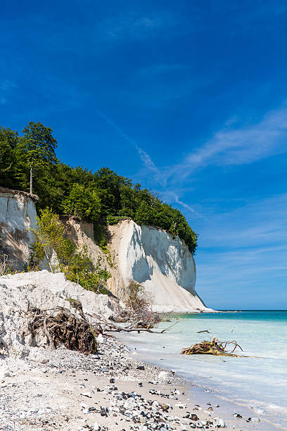 istock On shore of the Baltic Sea 615738408