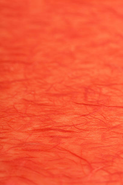 istock Japanese washi paper 615740328