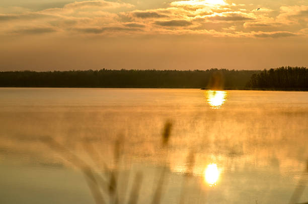 istock Dry reed bending over the water. Retro style. 615742446