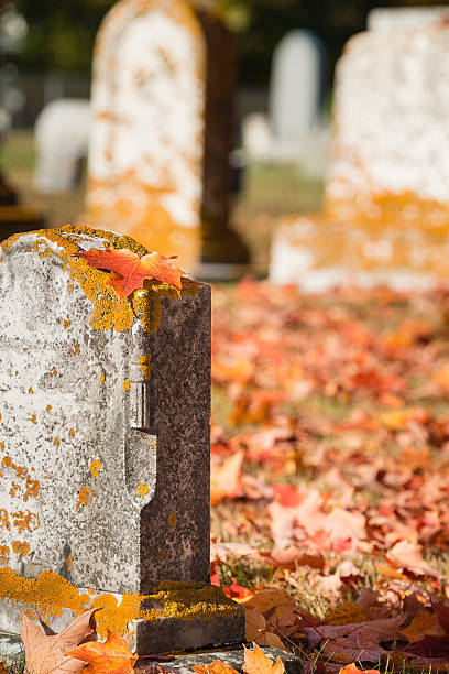 istock Maple leaf on tombstone in autumn cemetery 615743914