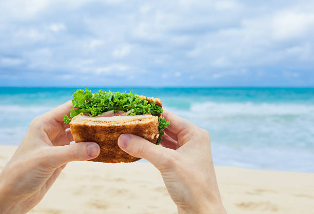 istock Healthy sandwich on the beach 615745788