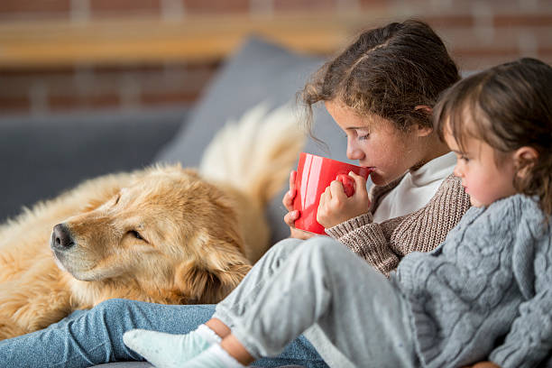 istock Hot Chocolate and Pet Adoption on Christmas 615745922