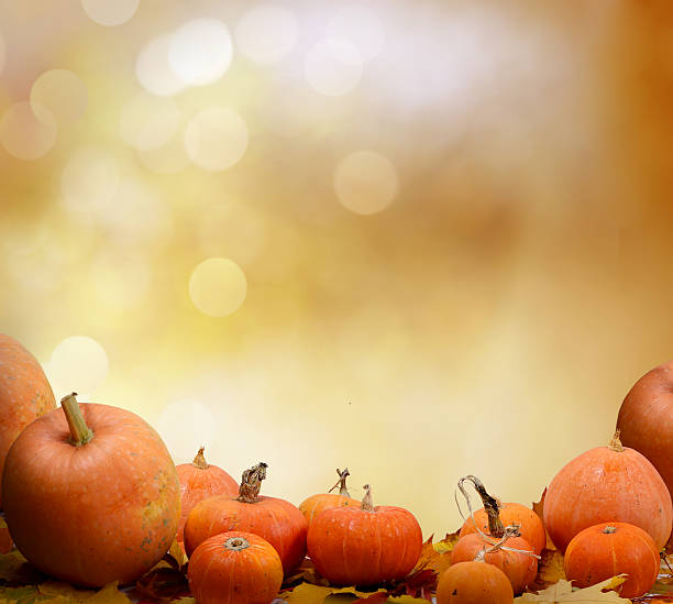 istock Autumn background with maple leaves and pumpkins.Harvest or Than 615748138