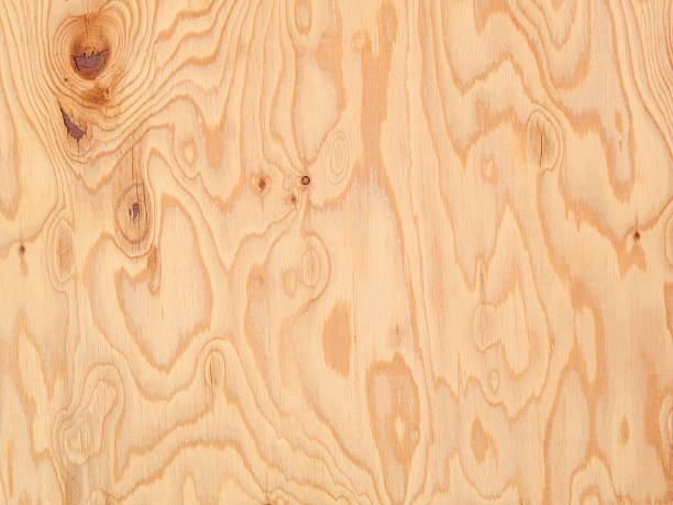 istock Close-up of wood grain 615750146