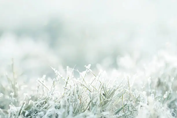 Photo of frost on the grass