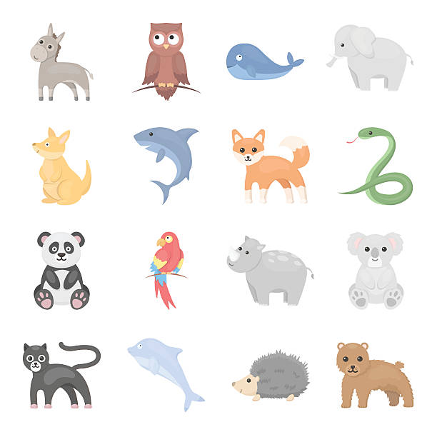 istock Animal icons set. Big collection of different wild animal. Predator 615798946
