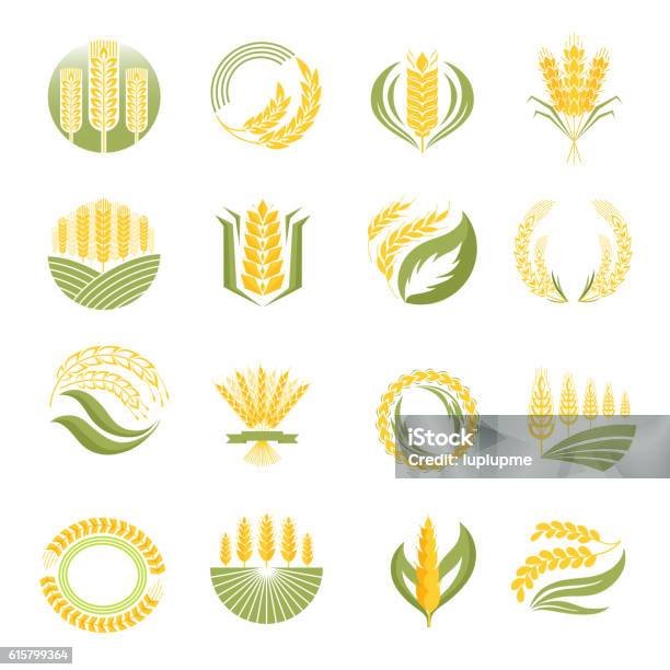 Wheat Icon Vector Set Stock Illustration - Download Image Now - Corn - Crop, Corn, Icon Symbol