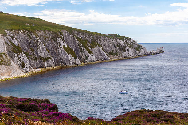 istock Isle of Wight in summer 615800204