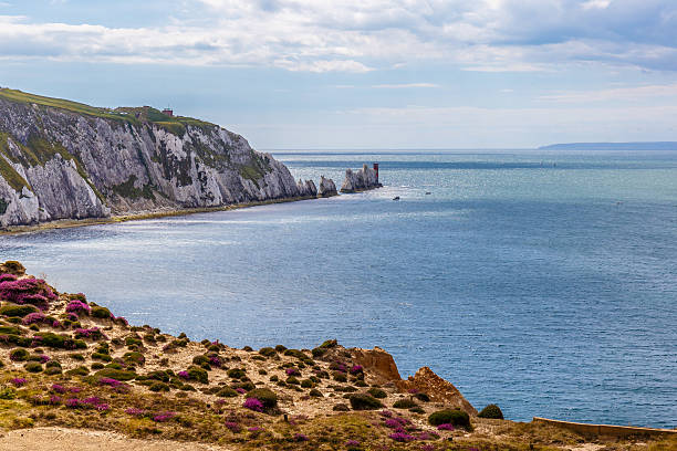 istock Isle of Wight in summer 615800242