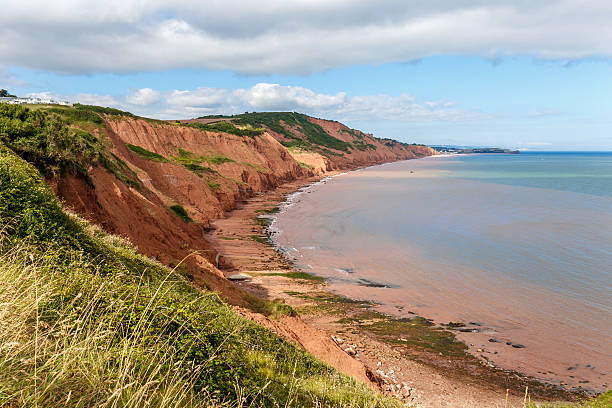 istock Jurassic Coast in summer 615801458