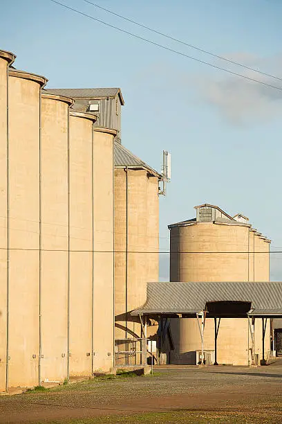 Grain silos on the railway line at Temora, New South Wales, Australia