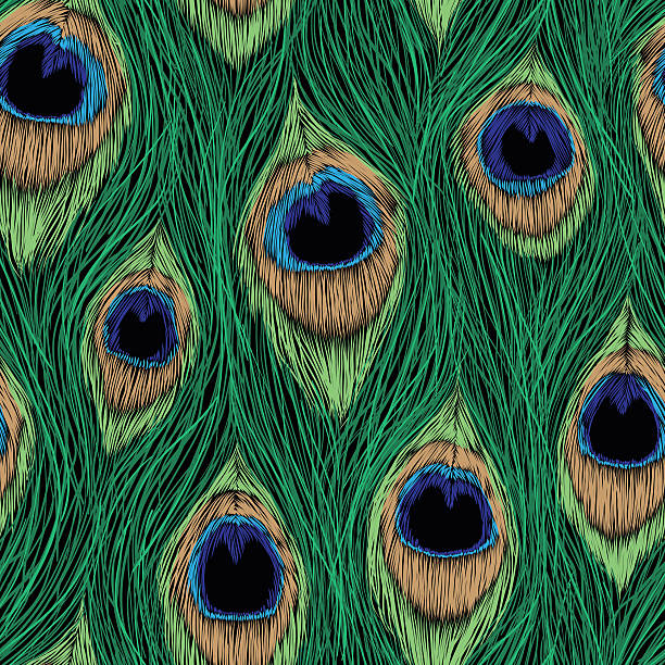 ilustrações, clipart, desenhos animados e ícones de projeto de penas de pavão. padrão de semear vetores. - peacock backgrounds animal bird