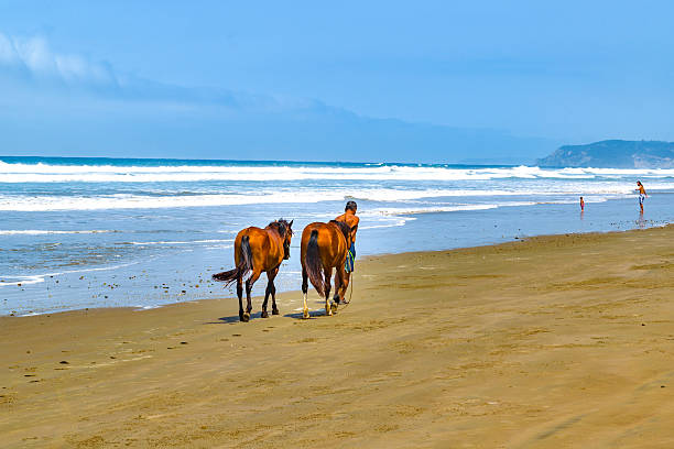Female friends during horseback riding on the beach