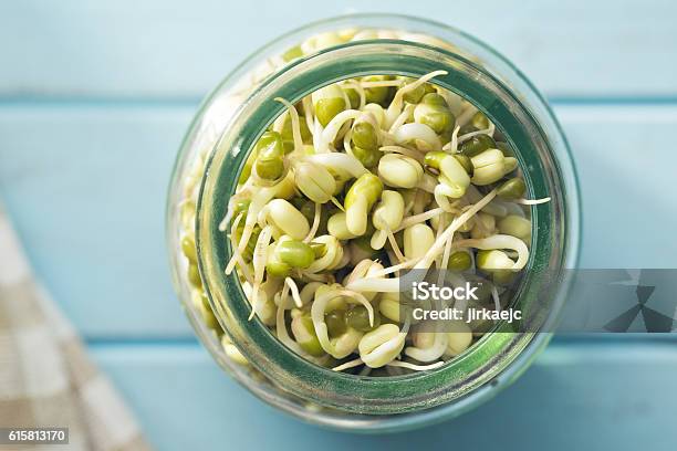 Sprouted Mung Beans Stock Photo - Download Image Now - Agriculture, Bean, Close-up