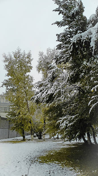 istock First Snow in the city 615816424