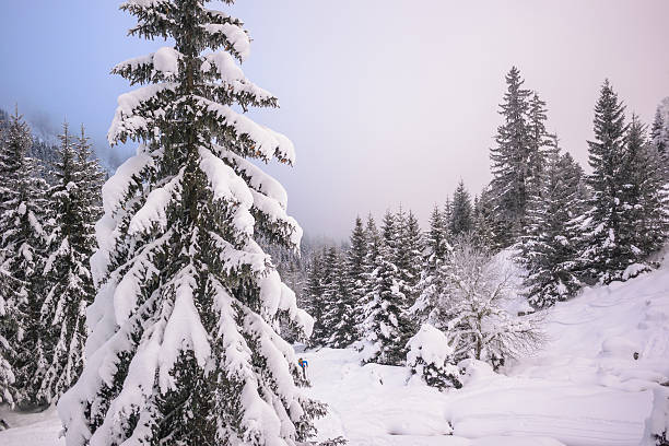 istock Winter Landscape with Snow and Trees 615817080