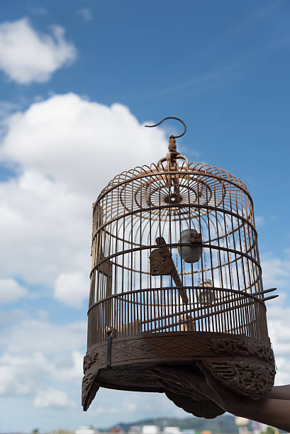 istock Beautiful birdcage with blue sky as background 615820202