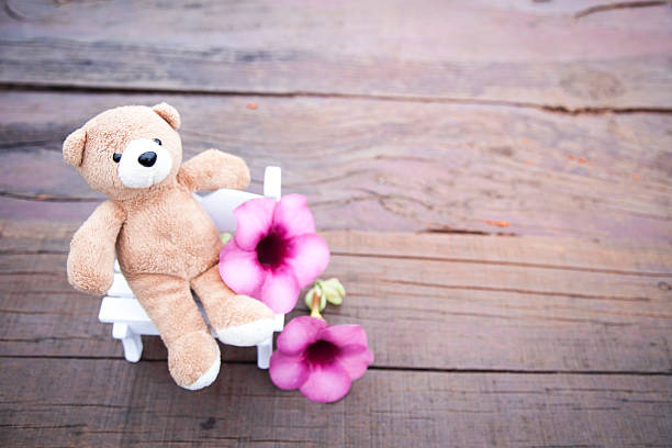Natural pink flower on white chair with relaxation cute Teddy bear doll on wood background