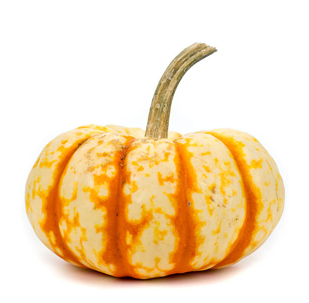 istock Ripe pumpkin on white background! 615821758
