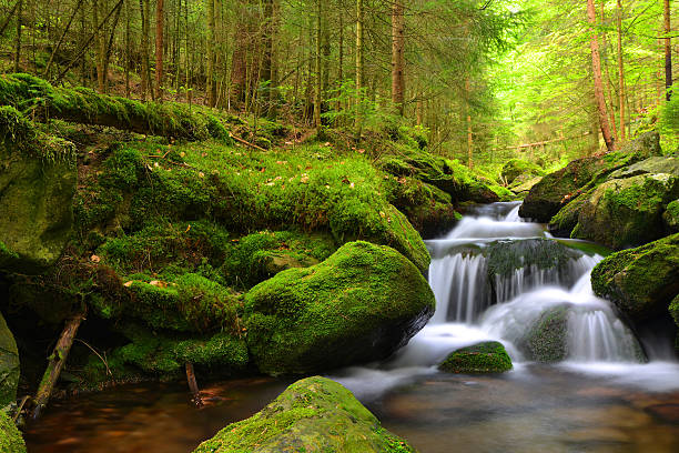 istock Waterfall in the national park Sumava 615822164
