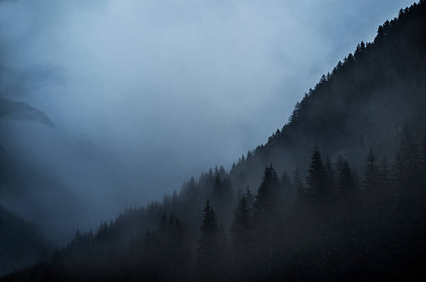 istock Mountain in the fog 615829406