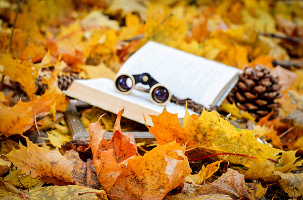 istock Autumn yellow leaves, Background space for text 615831112