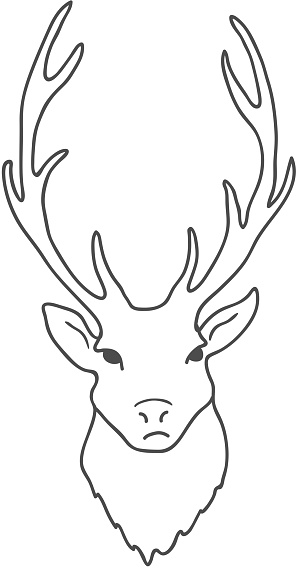 Deer Head Isolated On White Background Vector Stock Illustration ...