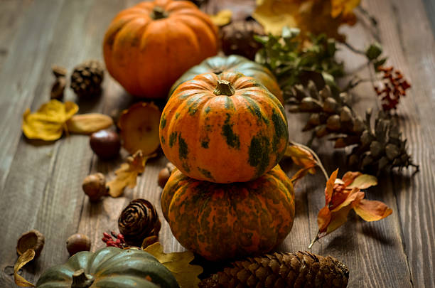istock Decorative pumpkins on a wooden background 615835496