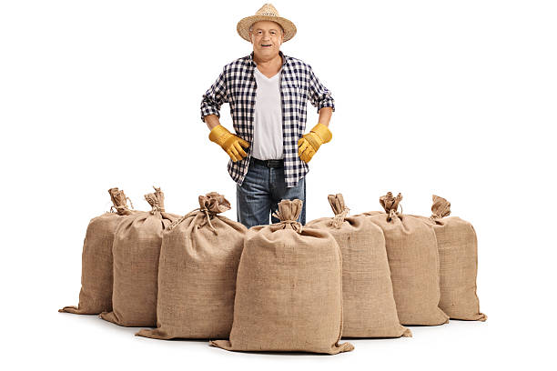 istock Mature farmer standing behind burlap sacks 615882050