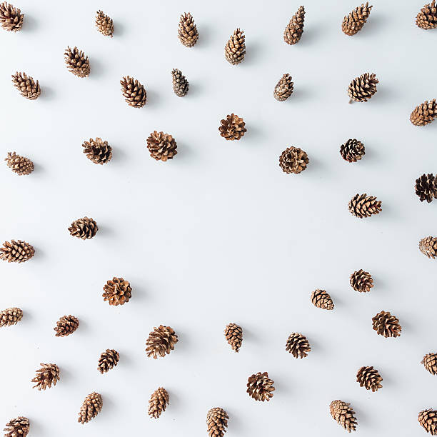 istock Winter forest aerial made of pinecones. 615882264