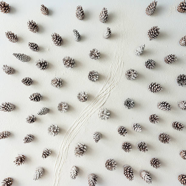 istock Winter forest aerial made of pinecones. 615882534